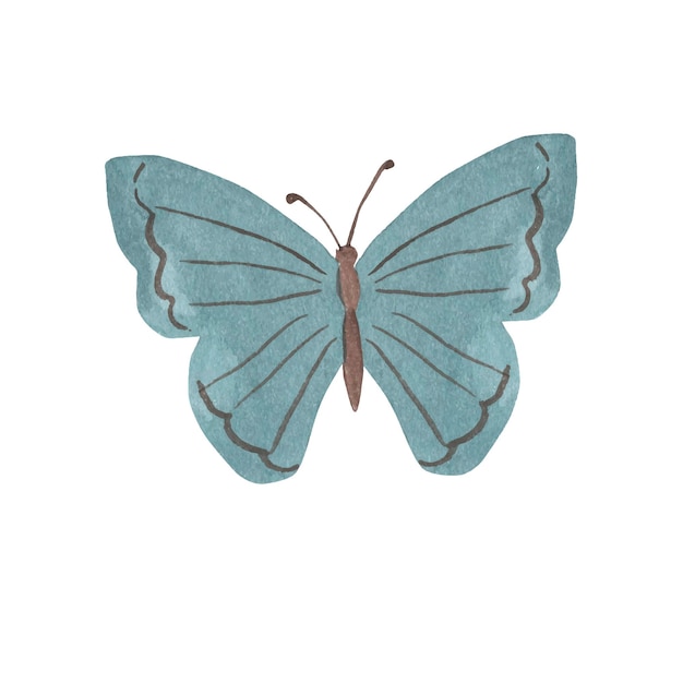 Illustration Aquarelle Papillon Pour Les Enfants
