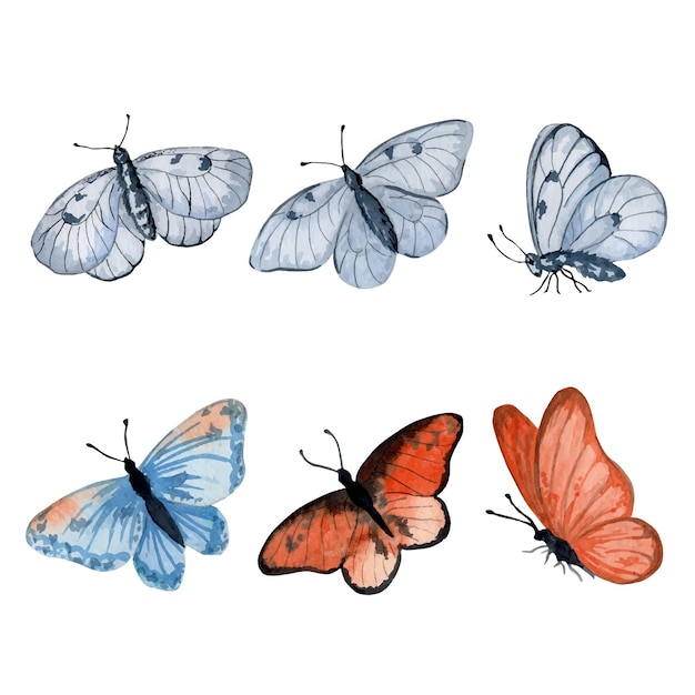 Vecteur illustration aquarelle de papillons