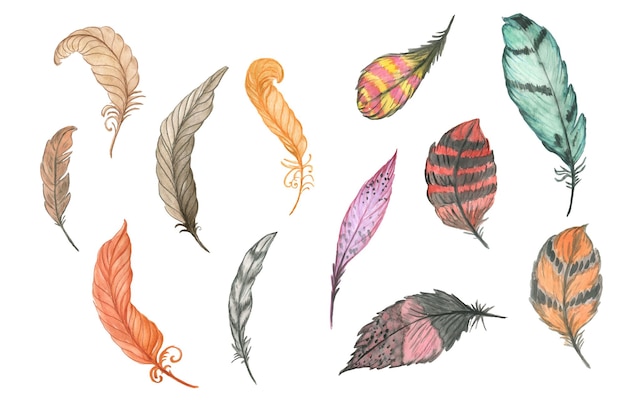 Vecteur illustration aquarelle de plumes d'oiseaux ensemble de plumes brunesailes de style boho