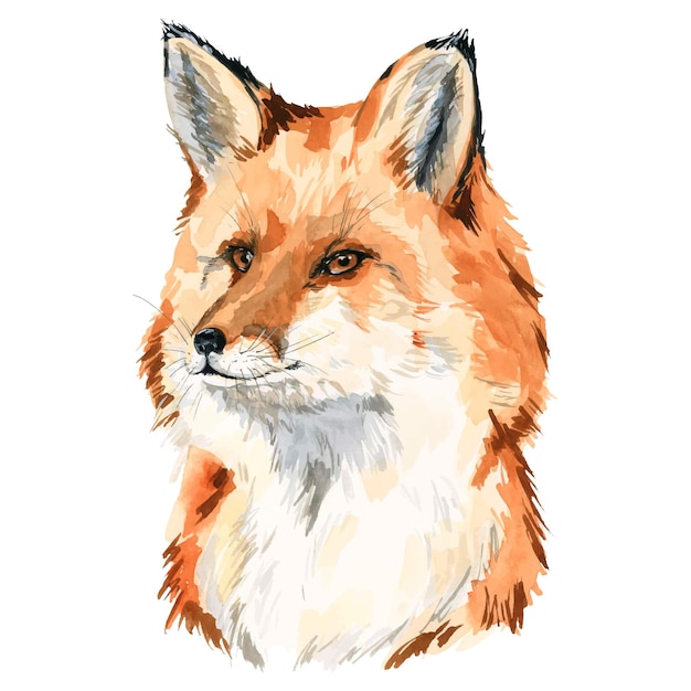 Illustration à l'aquarelle avec un portrait d'un renard