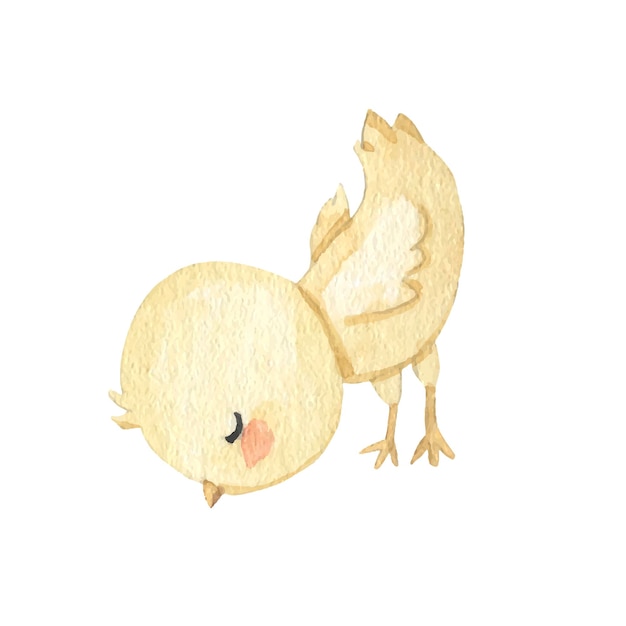 Vecteur illustration aquarelle de poulet pour les enfants