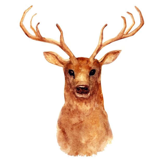 Vecteur illustration aquarelle de tête de cerf