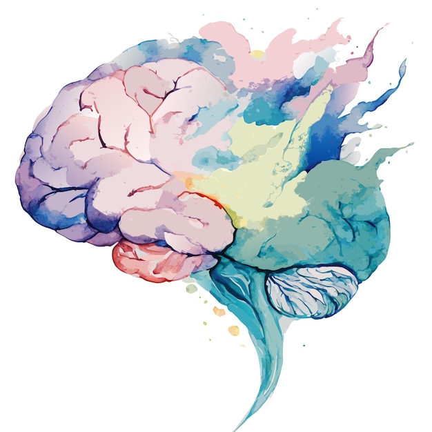 Illustration aquarelle d'un vecteur de cerveau