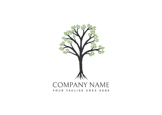 Illustration D'un Arbre Avec Des Branches Et Des Feuilles Vertes Création De Logo