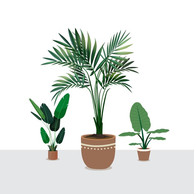 Illustration d'un arbre avec des plantes d'intérieur