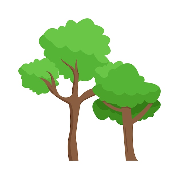 Illustration d'un arbre