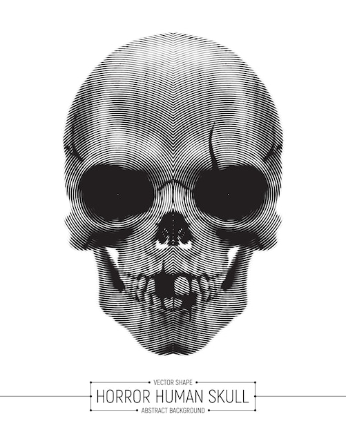 Illustration D'art De Crâne D'horreur Humaine De Vecteur Isolé