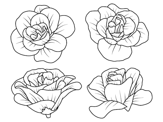 Illustration D'art De Ligne De Croquis De Fleurs Dessinées à La Main