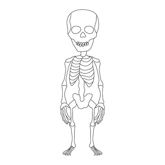 Illustration d'art vectoriel de dessin de squelette en ligne continue