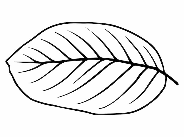 Illustration artistique dessinée à la main