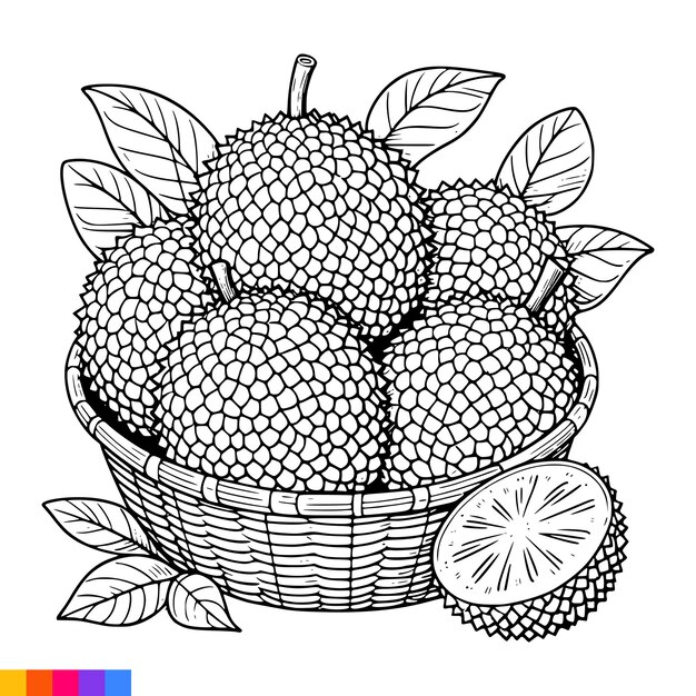 Vecteur illustration artistique de la ligne du panier de fruits pour le livre à colorier pages à colorier fruits graphiques vectoriels