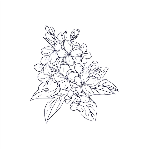 Illustration artistique de la ligne de fleurs de jasmin