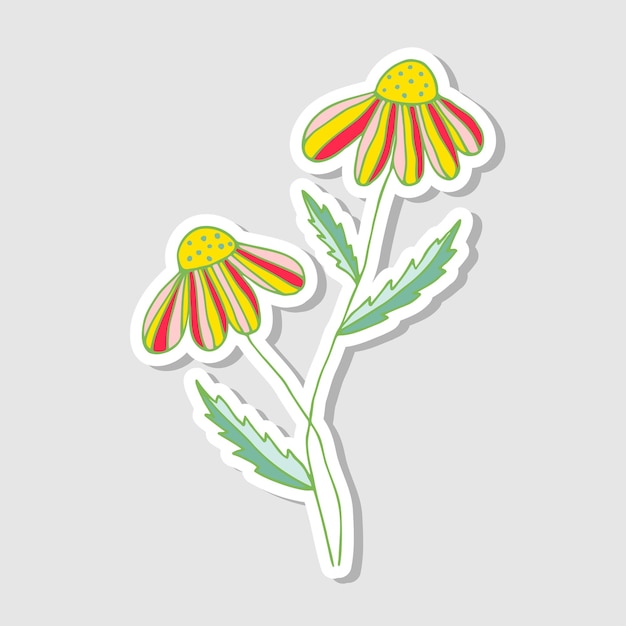 Vecteur illustration d'autocollants décoratifs à la camomille avec des fleurs pour l'album beaux autocollants floraux