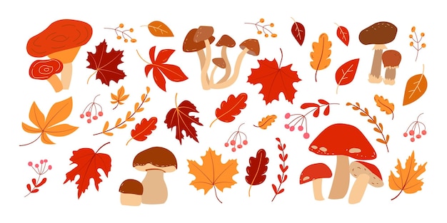 Illustration d'automne sertie de champignons et de feuilles sur fond blanc Bonne récolte
