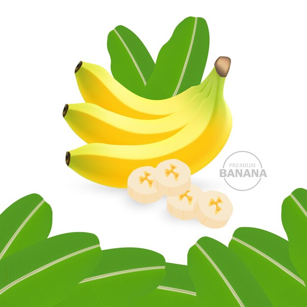 Illustration De Banane Réaliste