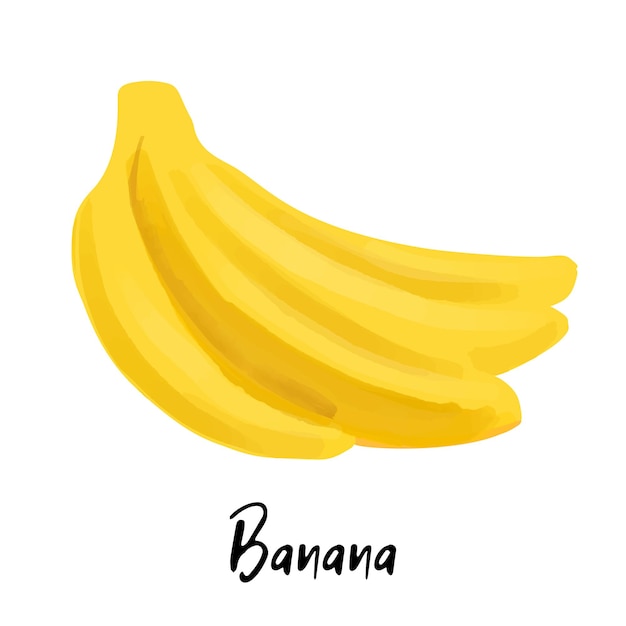 Illustration de bananes isolée sur fond blanc