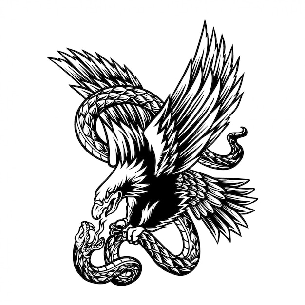 Illustration De La Bataille D'aigle Et De Serpent