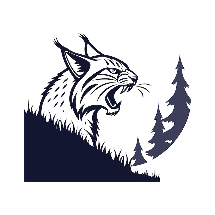 Vecteur illustration d'un bobcat
