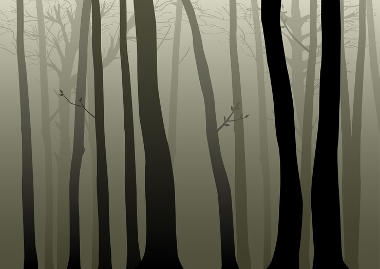 Vecteur illustration des bois brumeux