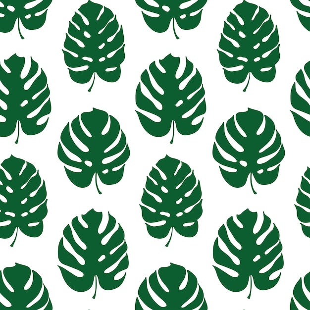 Illustration Botanique Vectorielle De Feuille De Monstera Dessin De Contour Isolé