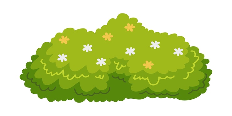 Vecteur illustration de buisson pour décorer magnifiquement le jardin feuillage pour la conception de cartes de printemps et d'été