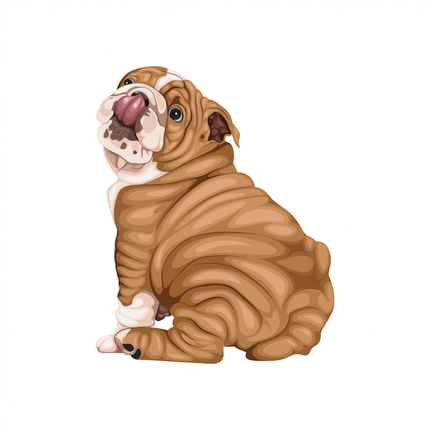 Vecteur illustration de bull dog