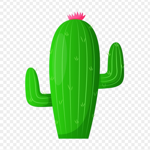 Illustration d'un cactus sur un fond transparent