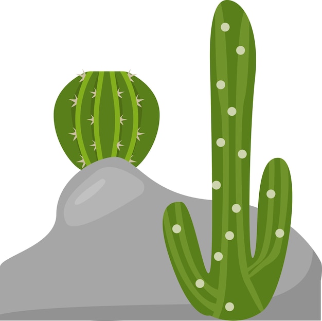 Illustration De Cactus