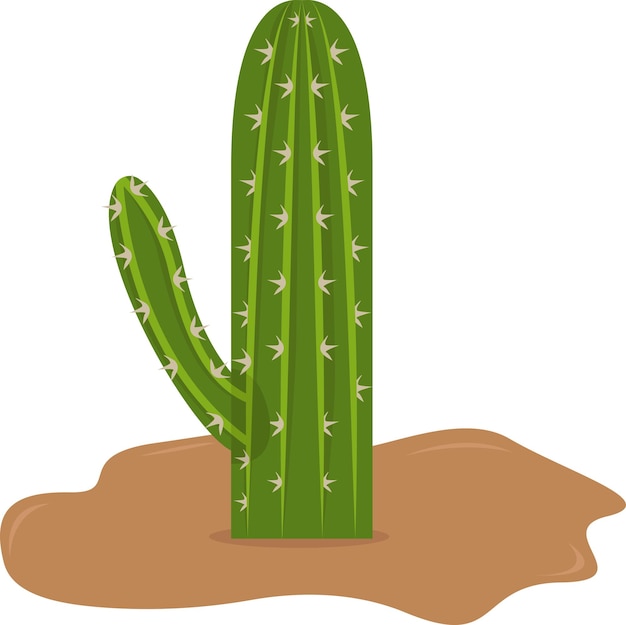 Vecteur illustration de cactus