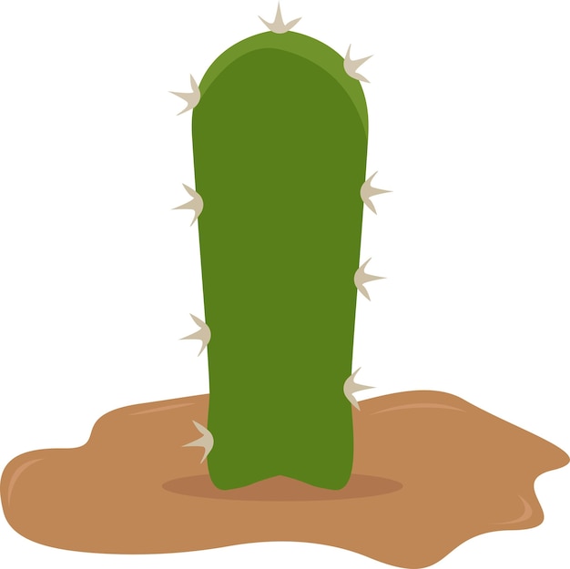 Illustration De Cactus