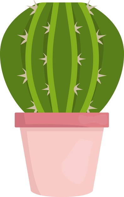 illustration de cactus