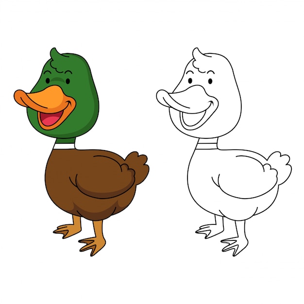 Illustration De Canard à Colorier éducatif