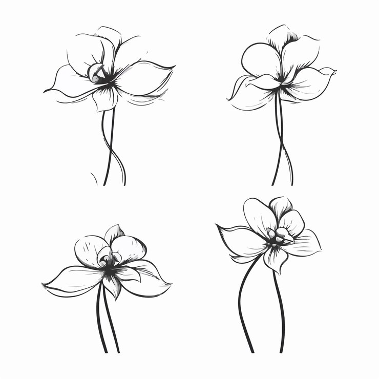 Vecteur illustration capricieuse du contour d'une orchidée avec des détails compliqués