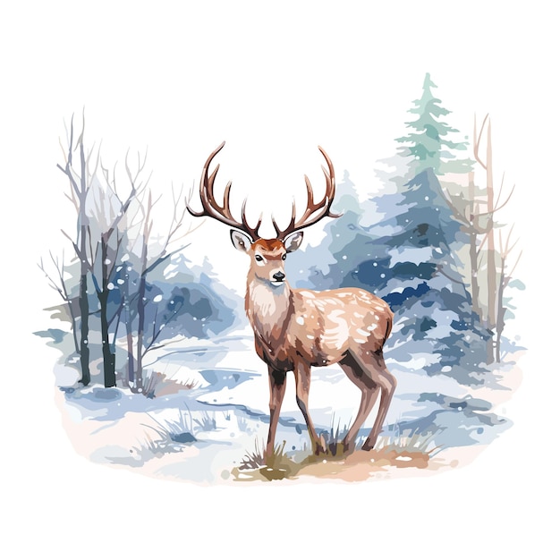 Illustration De Cerf Cerf Aquarelle