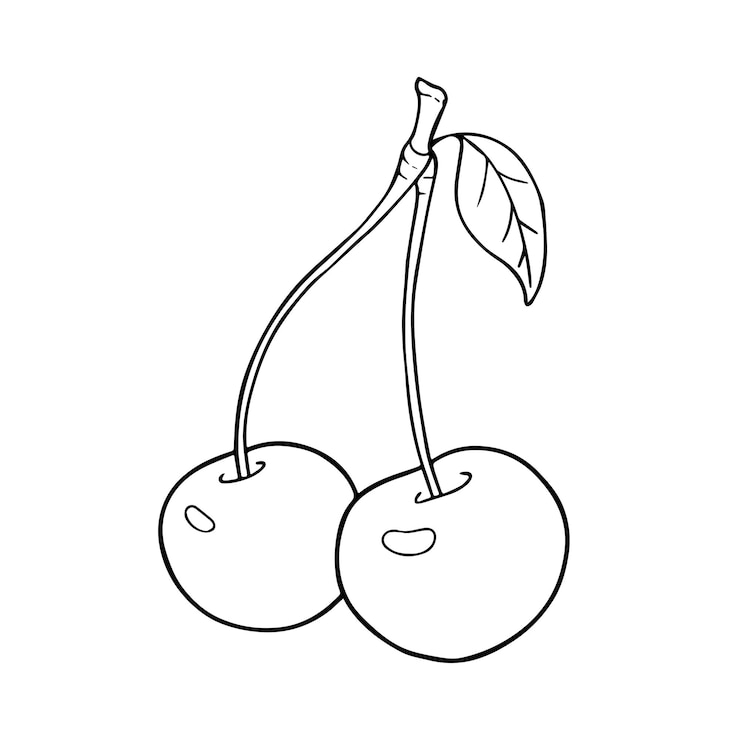 Vecteur illustration de cerise sur un fond blanc isolé pour les pages du livre de coloriage