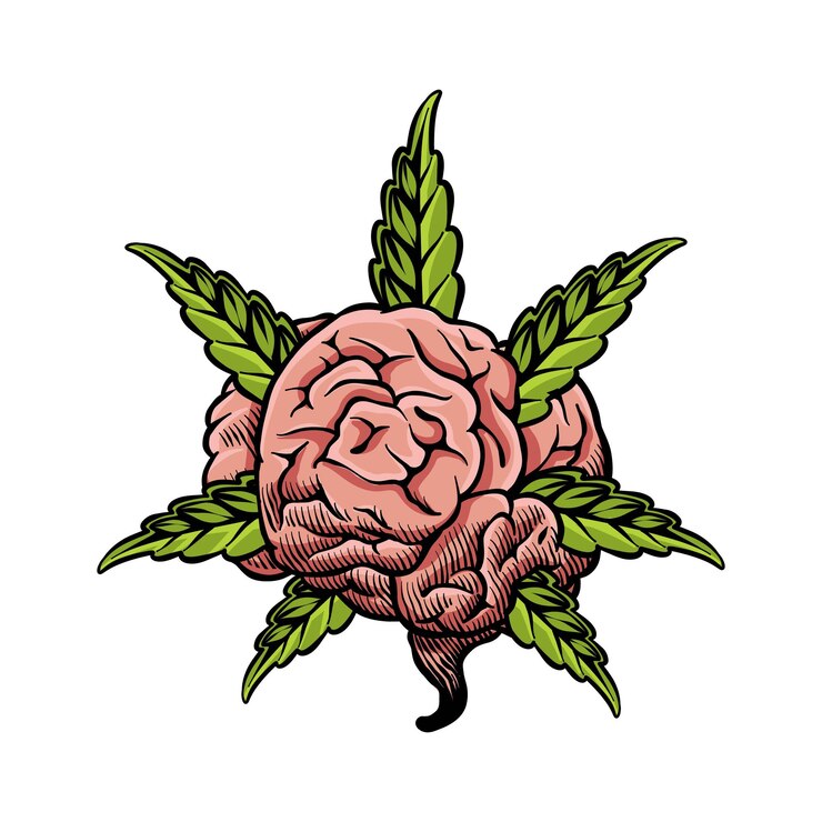 Vecteur illustration d'un cerveau combiné avec des feuilles de marijuana