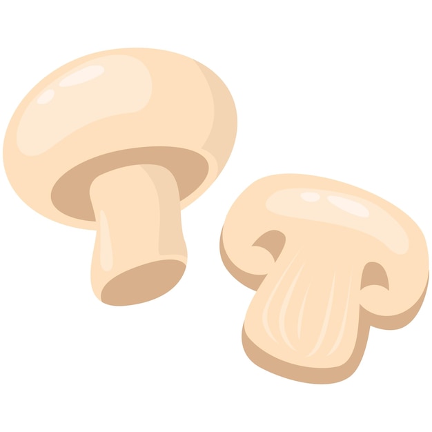 Illustration de champignons frais