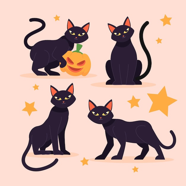 Illustration De Chat Plat Halloween