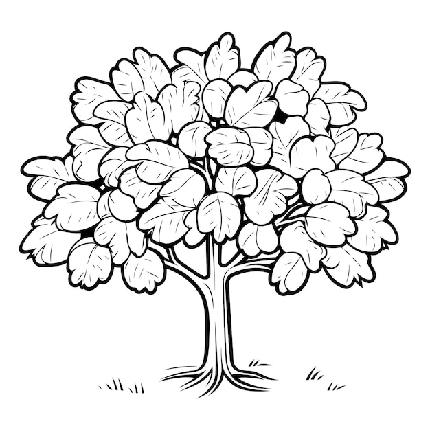Vecteur illustration d'un chêne noir et blanc sur un fond blanc
