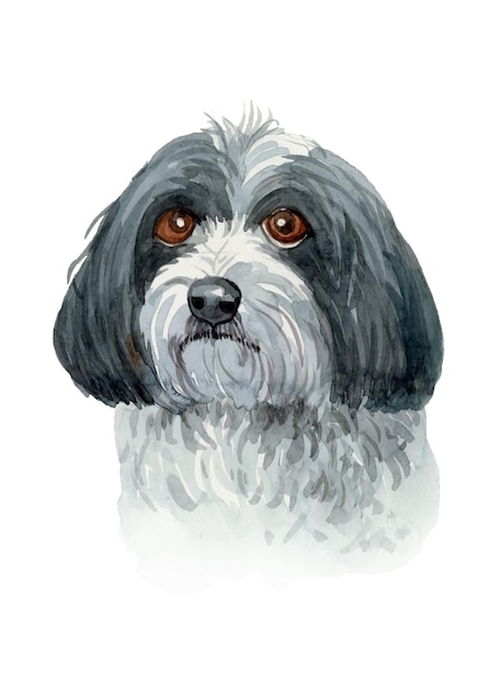 Vecteur illustration de chien aquarelle peinte à la main