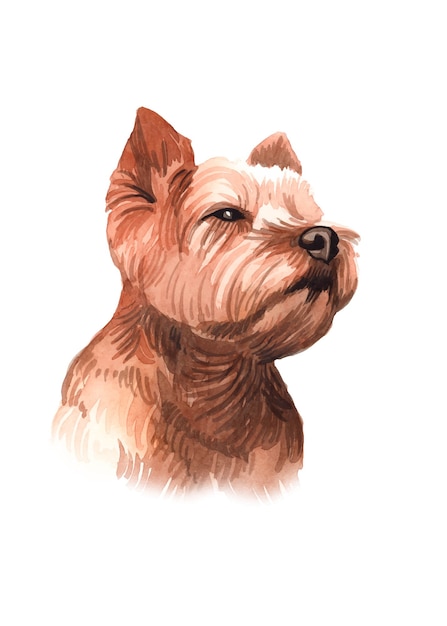 Illustration De Chien Aquarelle Peinte à La Main