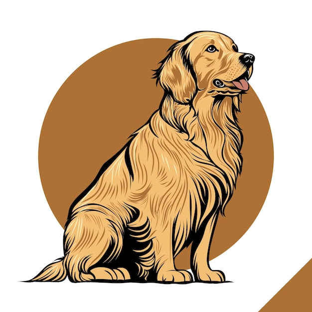 Vecteur illustration de chien golden retriever avec un fond marron