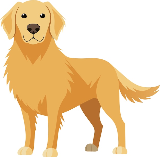 Une illustration d'un chien golden retriever