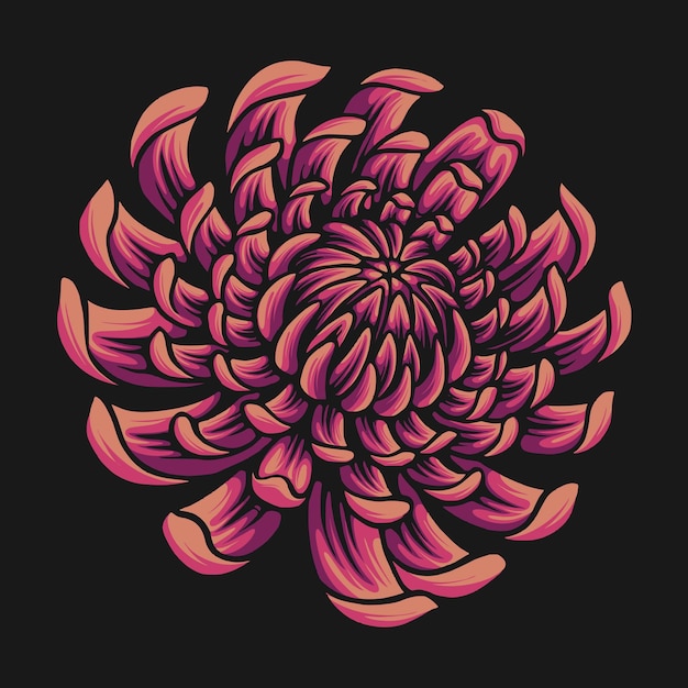 Illustration De Chrysanthème Rouge