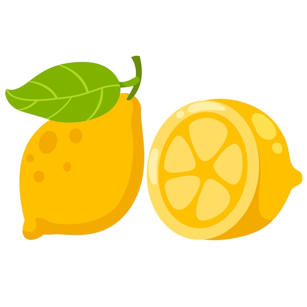 Illustration D'un Citron Blanc Frais Sur Un Vecteur De Fond