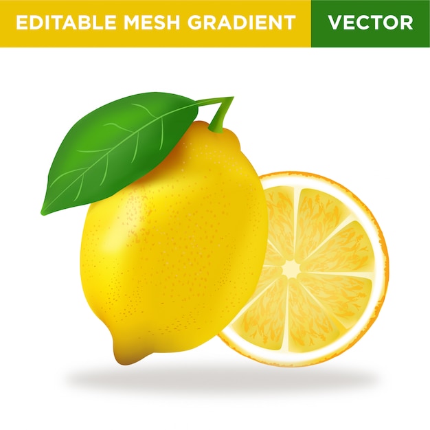 Vecteur illustration de citron