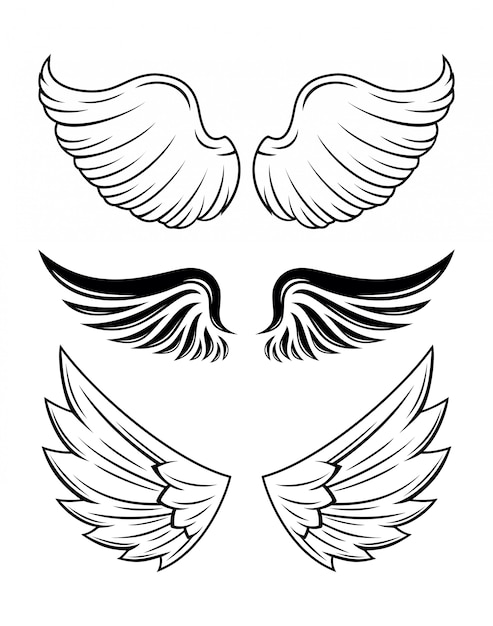 Illustration De La Collection D'ailes