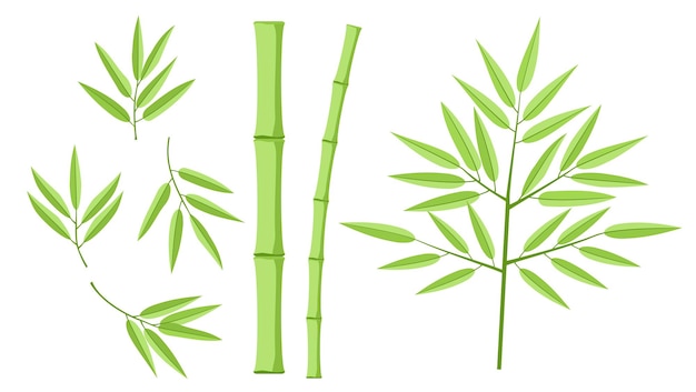 Vecteur illustration avec collection de bambou ensemble de feuilles de bambou formes de plantes de bambou pour la conception