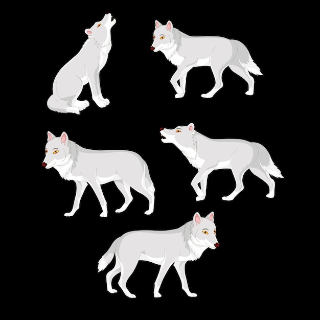 Vecteur illustration de la collection de dessins animés de loup blanc