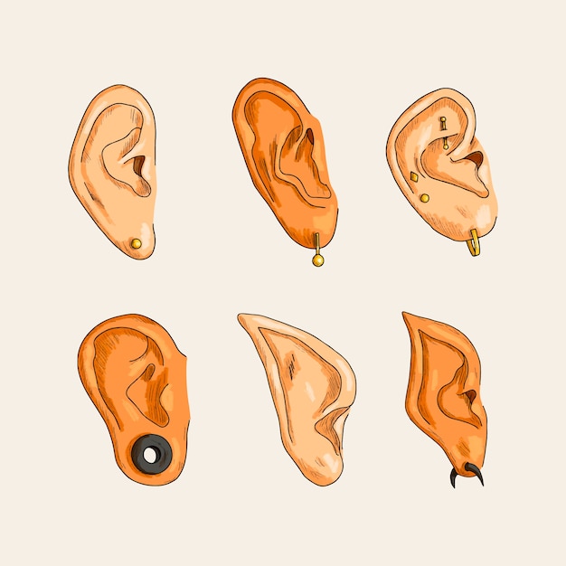 Illustration De La Collection De Dessins Animés De L'oreille Dessinée à La Main